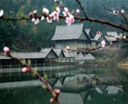 浠水今天天气